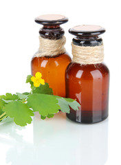 Blooming Celandine with medicine bottles isolated on white
