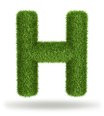 Natural grass letter H