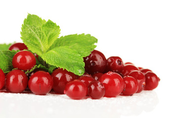 Ripe red cranberries, isolated on white.