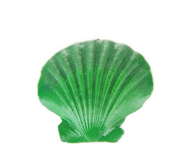 Colorful seashell isolated on white