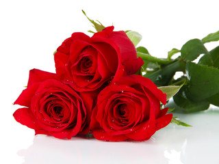 Beautiful bouquet of roses isolated on white