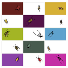 Design cards with beetles sketch