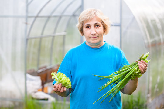Happy mature Caucasian woman with onion and lettuce in garden