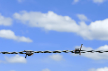 the barbed wire