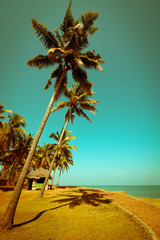 Naklejka na ściany i meble Beautiful sunny day at tropical beach with palm trees