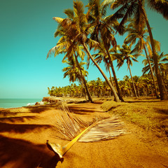 Naklejka na ściany i meble Beautiful sunny day at tropical beach with palm trees.