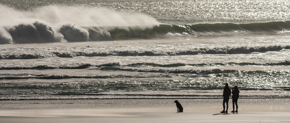 Fototapeta na wymiar para z psem stoi na plaży i obserwując fale pływowe