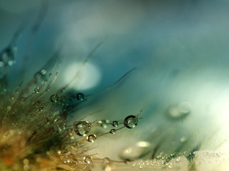 Water drops