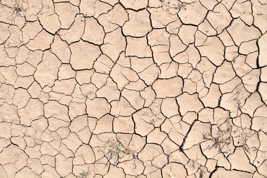 Dried cracked earth