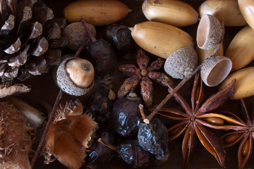 seasons forest fruits
