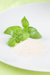 Basil and cane sugar