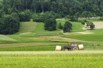Tractor with hay bales