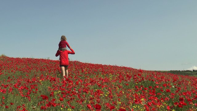 trotter dans les coquelicots