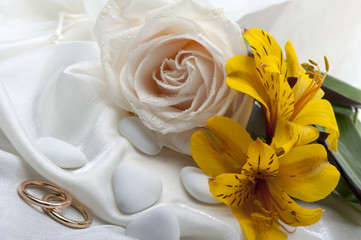 roses and wedding rings