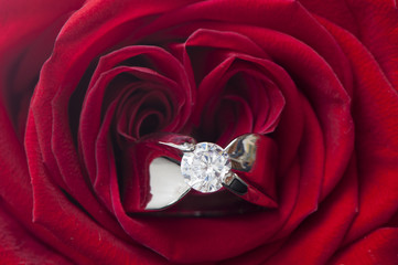 Roses and wedding rings