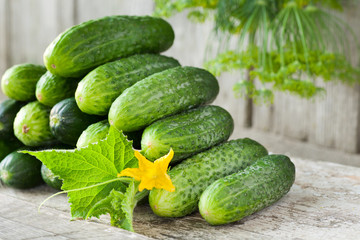cucumbers with yellow flower, leaves and dill on wooden backgrou