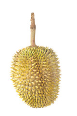 Durian, King of fruits