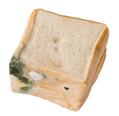 Moldy bread. Isolated