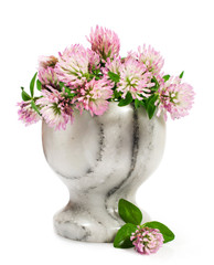 stone mortar with flowering clover
