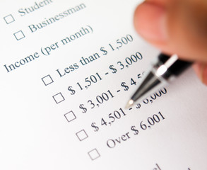 Marketing Survey, Income