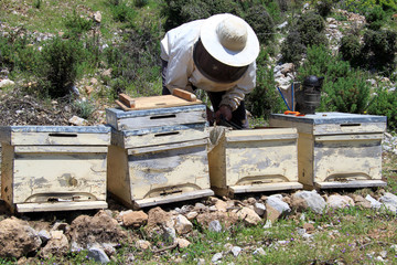 Beekeeper