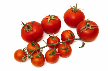 red tomatoes