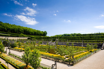 Villandry Castle's garden, Indre-et-Loire, Centre, France