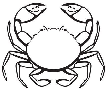 Silhouette crab isolated on white background