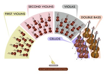 Diagram of String Instrument for Symphonic Band