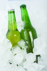 Green Bottle of beer