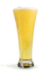 Mug filled with beer