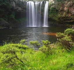 Foto op Plexiglas Beautiful waterfalls at Kerikeri, New Zealand © mohdnadlyaizat