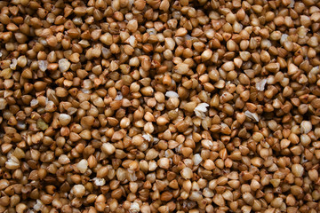 Buckwheat grains