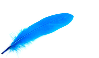 color feather
