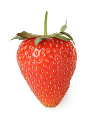 single red ripe strawberry