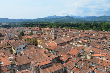 View from bell tower over Lucca