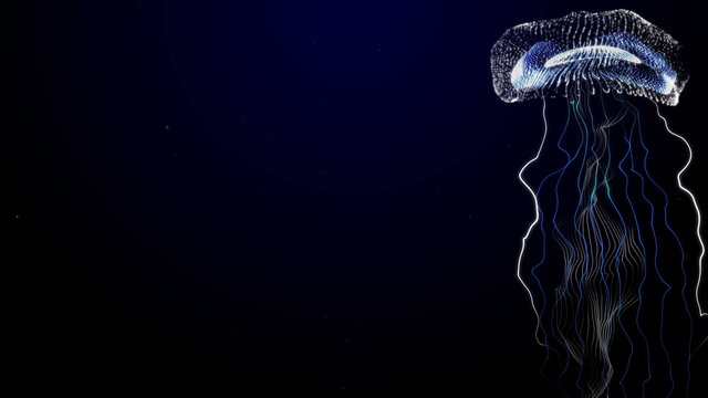 Jellyfish on blue deep background