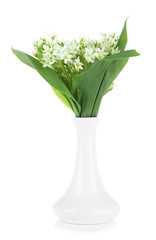 Beautiful mountain daffodils in  color vase, isolated on white
