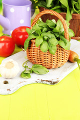 Fresh herb in basket on wooden table on natural background