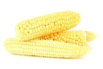 Fresh corn, isolated on white