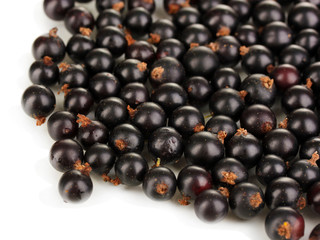 Fresh black currant isolated on white