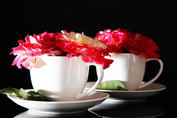 Roses in cup on black background