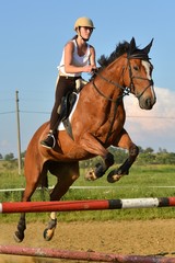 équitation