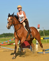 équitation