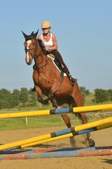 équitation