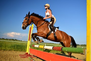 horse jumping © muro