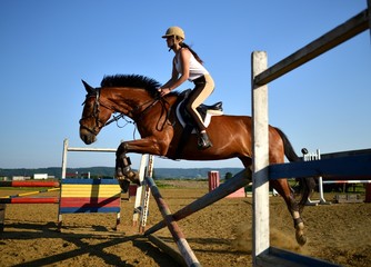 horse jumping