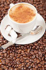 Single cup of cappuccino surrounded by coffee beans