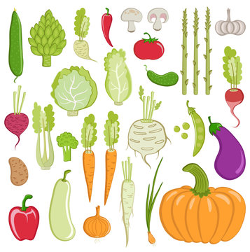 set of healthy vegetables