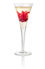 Sekt Cocktail mit Hibiskusblüte © Zerbor
